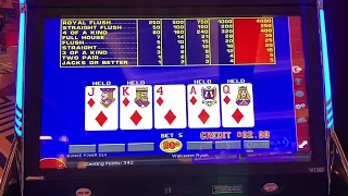 Royal Flush Draws and Royal Flushes on video poker!