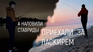 Пять видов рыб за одну рыбалку, Черное море, Крым.