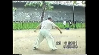 Xing Yi Quan by old Bagua master Yang Bao