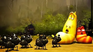 LARVA | LARVA VS ANTI | Film dei cartoni animati | Cartoni per bambini | WildBrain Videos For Kids