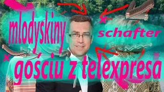 mlodyskiny x schafter x maciej orłoś (ten co był w teleexpers) - dvd