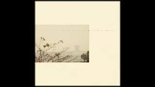 Wild Nothing - Golden Haze (Full Album)