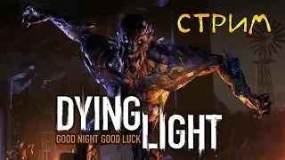 ВЫЖИВАНИЕ В МЕРТВОМ ГОРОДЕ. БЕГУНЫ И БРАТЬЯ - Dying Light (стрим)