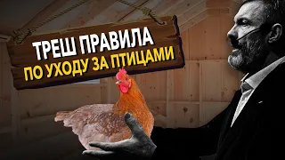 Треш-правила по уходу за птицами / Забудьте про иностранные лекарства / Кого бесплатно газифицируют