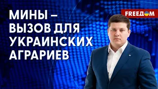 💥 ЭКСПОРТ зерна, несмотря на ШАНТАЖ РФ: Украине предстоит РАЗМИНИРОВАТЬ 1,6 млн гектаров полей!