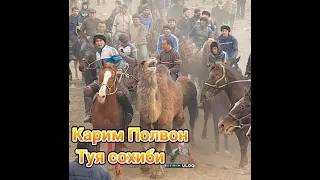 Карим полвон Туя сохиби тулик видио.