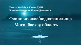 Осиповичское водохранилище Могилёвская обл.
