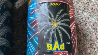 Sony vinayaga fireworks bad boys #sonyfireworks #shorts #shortvideo #shortsvideo #shortvideos