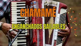 CHAMAMÉ Para Bailar en las Fiestas