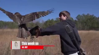 Harnett County Falcon Hunt | Carolina ALL OUT S-2 Ep/3