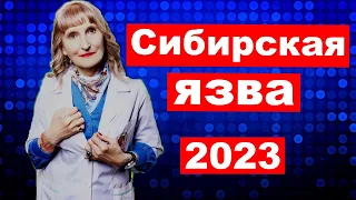 Сибирская язва  -  2023