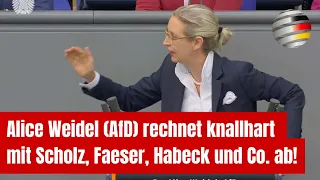 #Mannheim: Alice Weidel (AfD) rechnet knallhart mit Scholz, Faeser, Habeck und Co. ab!