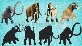 CUTE ANIMALS Mammoth, Woolly Mammoth, Columbian mammoth, Holhut 귀여운 동물 매머드, 털 매머드, 콜롬비아 매머드, 홀헛