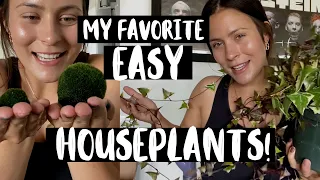 TOP EASY & UNIQUE HOUSEPLANTS! | My 10 Favorite EASY Plants!