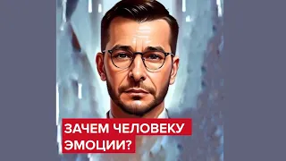 Зачем нам эмоции? | Андрей Курпатов