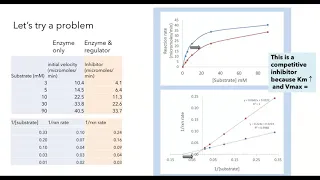 Michaelis Menten and Lineweaver Burk plots