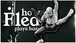 How Flea Plays Bass