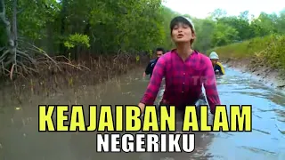 KEAJAIBAN ALAM NEGERIKU | JEJAK PETUALANG (11/08/20)