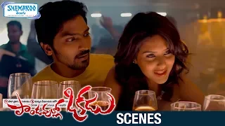 Pandavullo Okkadu Telugu Movie Scenes | Vaibhav Enjoys with Sonam Bajwa | Shemaroo Telugu