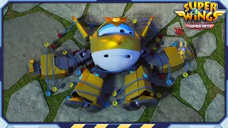 [SUPERWINGS5 Compilation] Golden Boy 4 | Super Pets | Superwings Full Episodes | Super Wings