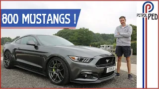 800 horsepower Steeda Mustang  - Epic First Drive !