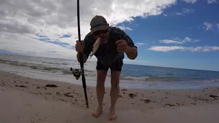 fishing with beach worms