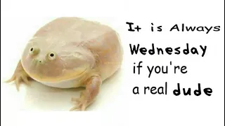 Wednesdays Frog compilation