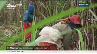 Le Journal Afrique du samedi 17 février 2024 sur TV5MONDE