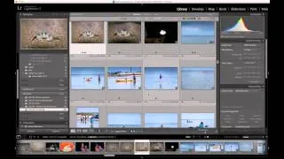 Lightroom 5 Tip - Keyword Spraying