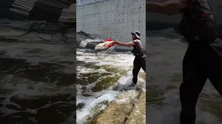 Amazing Big Cast Net Fishing Traditional Net Catch Fishing in The River 6