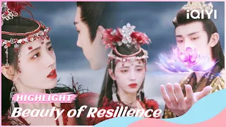 🌷Highlight EP31-36：Wei Zhi Killed the Emperor with Her Life | Beauty of Resilience | iQIYI Romance