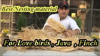 Lovebirds|Java|Finch Breeding Box ||Nesting Material Full Detail Video [Urdu/Hindi]