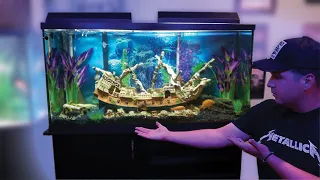 I Designed a Shipwreck Fish Aquarium!