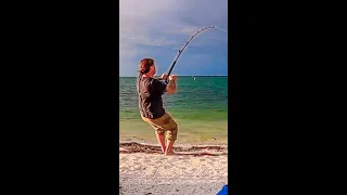 GOLIATH GROUPER from the Beach! #shorts #monsterfish