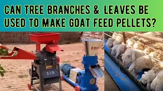 Can Tree Branches and Leaves be Used to Make Goat Feed Pellets? Goat feed #goatfeed #grinder #pellet