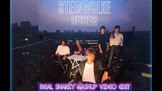 Steinwolke -  katharine katharine (Real Sharky Mashup Video Edit)