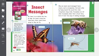 ELA- "Insect Messages" Read Aloud for Oct 29th