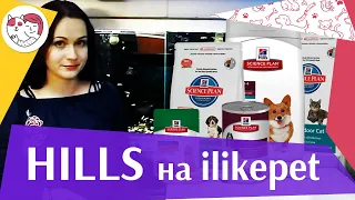 Hills на ilikepet