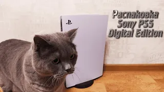 Распаковка PlayStation 5 | Кот в шоке🙀