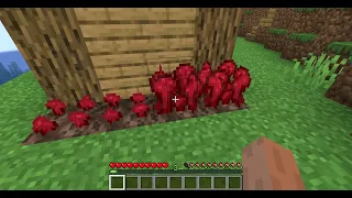 How to grow nether wart in Minecraft