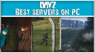 The Best PC Severs on DayZ | March 2024
