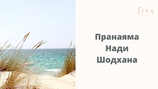 Пранаяма Нади Шодхана. JivaYoga.Online