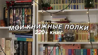 ВСЕ МОИ КНИЖНЫЕ ПОЛКИ || 220+ КНИГ || 2 часовой обзор всех книг