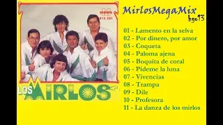 Los Mirlos Megamix - Dj Hgto