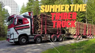 Timber truck Finland | Summertime - Timbertruck loaded 🇫🇮 Press and load