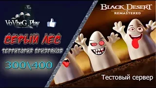 Black Desert online.Новый спот,👻👻Серый Лес,рекомендуется 300ap/400dp!