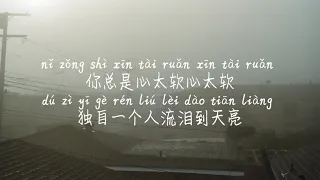 【心太软-蓝心羽(Cover:任贤齐)】XIN TAI RUAN-LAN XIN YU /TIKTOK,抖音,틱톡/Pinyin Lyrics, 拼音歌词,병음가사/No AD, 无广告,광고없음