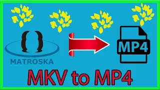 Как изменить  поменять формат видео mkv to mp4  XVID4PSP мкв в мп4