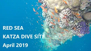 Free diving Katza Eilat April 2019