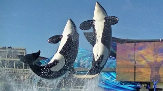 One Ocean (Full Show/Full HD) April 19, 2015 - SeaWorld San Diego